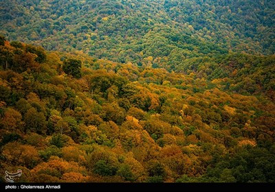 طبیعت پاییزی بهشهر مازندران