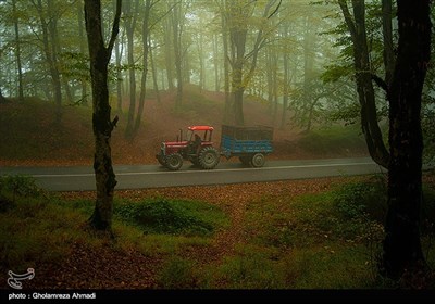 طبیعت پاییزی بهشهر مازندران