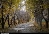 جلوههای پاییزی سنندج به روایت تصویر