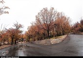 بارش پاییزی باران در شهرکرد به روایت تصویر