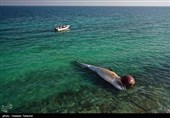 ماجرای مرگ دومین نهنگ به فاصله 10 روز چه بود؟/باز هم پای تورهای صید ترال در میان است + تصاویر