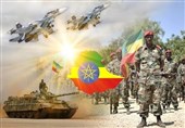 مقام بلندپایه سیاسی تیگرای تسلیم ارتش اتیوپی شد