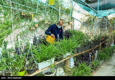 آسایشگاه شهید بهشتی مشهد