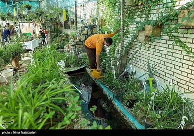 آسایشگاه شهید بهشتی مشهد