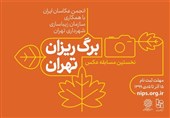 فراخوان مسابقه عکاسی «برگ‌ریزان تهران» منتشر شد