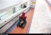 شناسایی 138 هزار فرد دارای معلولیت در فارس/ 55 درصد ضایعات نخاعی از تصادفات رانندگی ‌است