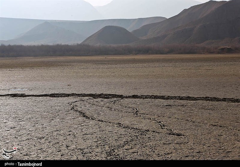 اجرای طرح جلوگیری از فرسایش خاک در مازندران / کاشت 6 هزار اصله نهال در 6 هکتار از اراضی شمال + فیلم