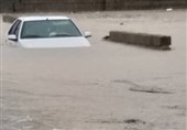 یک نفر در سیل &quot;دشتستان&quot; مفقود شد/ وضعیت سیلابی رودخانه‌های استان بوشهر