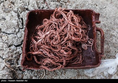 گلافی حرفه لنج سازی و قایق سازی - آبادان