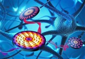 Scientists Develop Component for Neuromorphic Computer