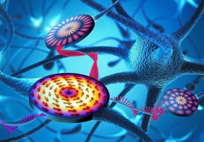 Scientists Develop Component for Neuromorphic Computer