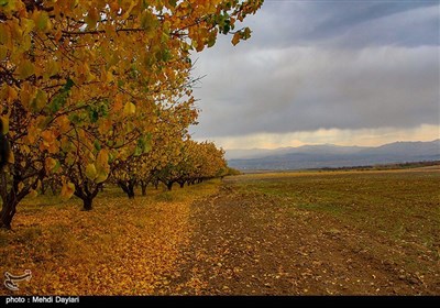 Beauties of Iran's Arasbaran Region in East Azarbaijan