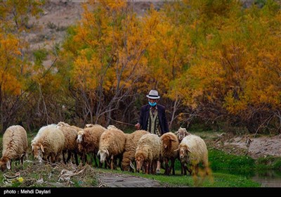 Beauties of Iran's Arasbaran Region in East Azarbaijan