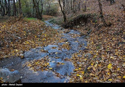 Beauties of Iran's Arasbaran Region in East Azarbaijan