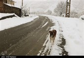 یخبندان در محورهای خراسان شمالی؛ دمای هوای بجنورد امشب به منفی 6 درجه می‌رسد