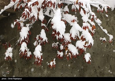 بارش برف در ییلاقات رحیم آباد گیلان 