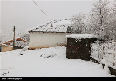 بارش برف در ییلاقات رحیم آباد گیلان