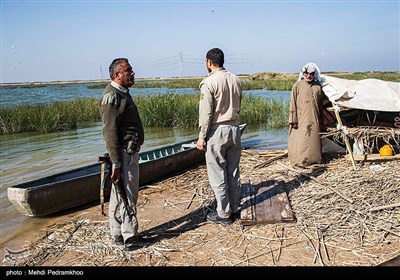 Grassroots Campaign in Iran Feeds Hungry Birds in Cold Weather 