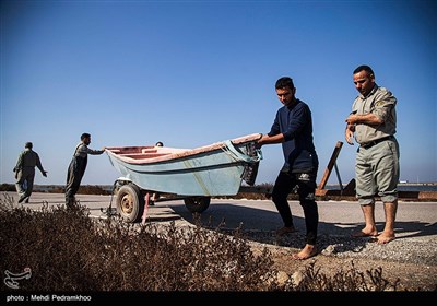 Grassroots Campaign in Iran Feeds Hungry Birds in Cold Weather 