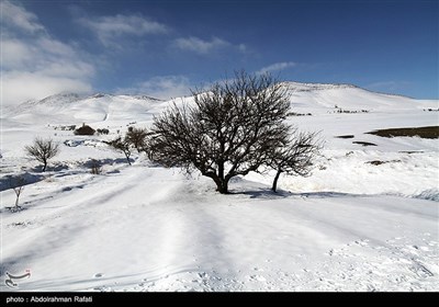 طبیعت برفی استان همدان
