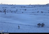 طبیعت برفی ارتفاعات بجنورد به روایت تصاویر
