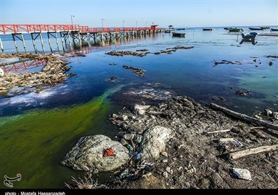  آیا محیط زیست مانع نجات خلیج گرگان است؟ 