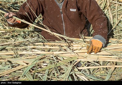 بوریا بافی زرقان - فارس