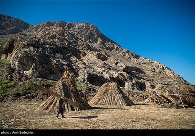 بوریا بافی زرقان - فارس