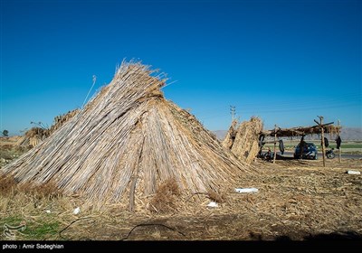 بوریا بافی زرقان - فارس