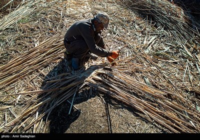 بوریا بافی زرقان - فارس