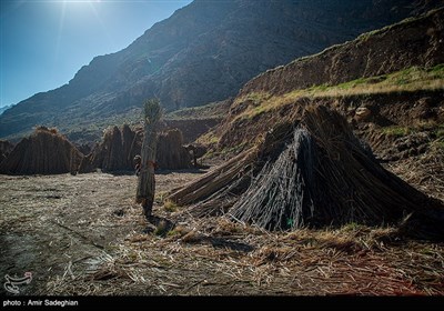 بوریا بافی زرقان - فارس