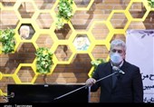 تأکید معاون رئیسجمهور بر حضور بخش خصوصی در حوزههای دانشبنیان