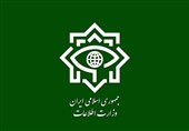 ضربه وزارت اطلاعات به 23 شبکه از عوامل اخلالگر بازار ارز/ 71 نفر بازداشت شدند
