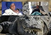 گاندو دوباره حادثه آفرید/ یک کودک اهل دشتیاری در حمله تمساح پوزه کوتاه زخمی شد