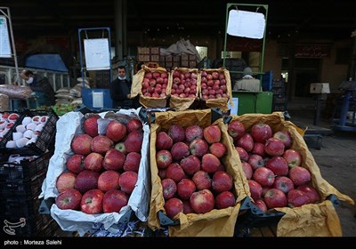  قیمت میوه در میادین میوه‌ و تره‌بار ۳۰ درصد ارزان‌تر از سطح شهر است 