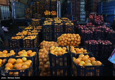  ۴ هزار تن سیب و پرتقال تنظیم بازاری در استان تهران توزیع می‌شود 