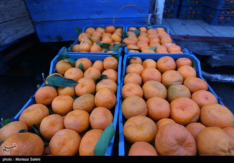 750 تُن میوه شب عید در استان سمنان ذخیره شد