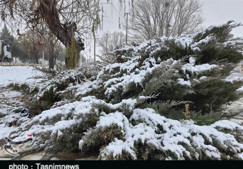 بارش نخستین برف پاییزی در شهر الیگودرز به روایت تصویر