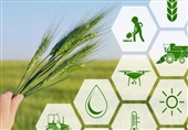 تنوع اقلیمی آذربایجان شرقی بهترین فرصت برای تقویت تولیدات کشاورزی است