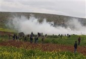 کرانه باختری| حمله نظامیان صهیونیست به کشاورزان فلسطینی در غرب «سلفیت»