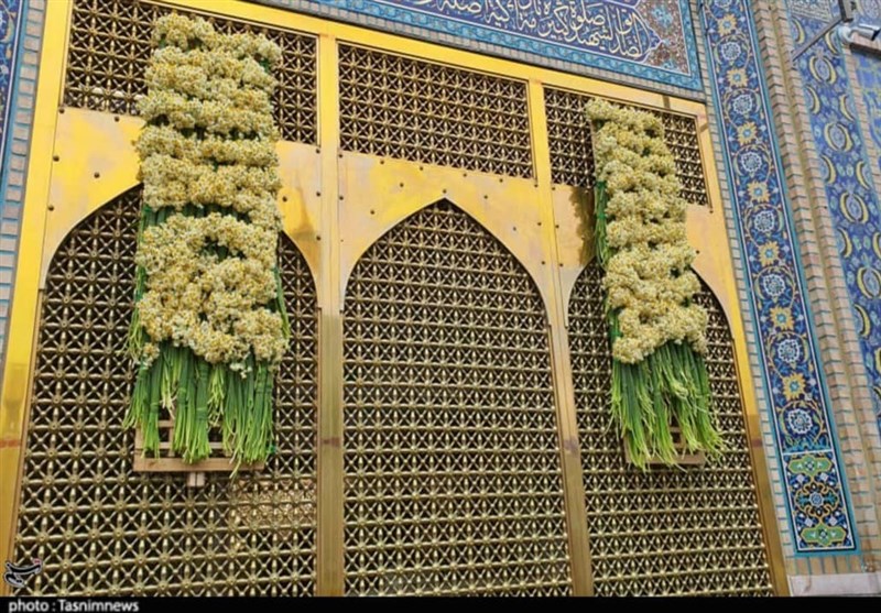 تحفه بهبهانی‌ها برای هشتمین امام شیعیان/ 10 هزار گل نرگس سفیر مردم بهبهان در حرم رضوی+ تصاویر