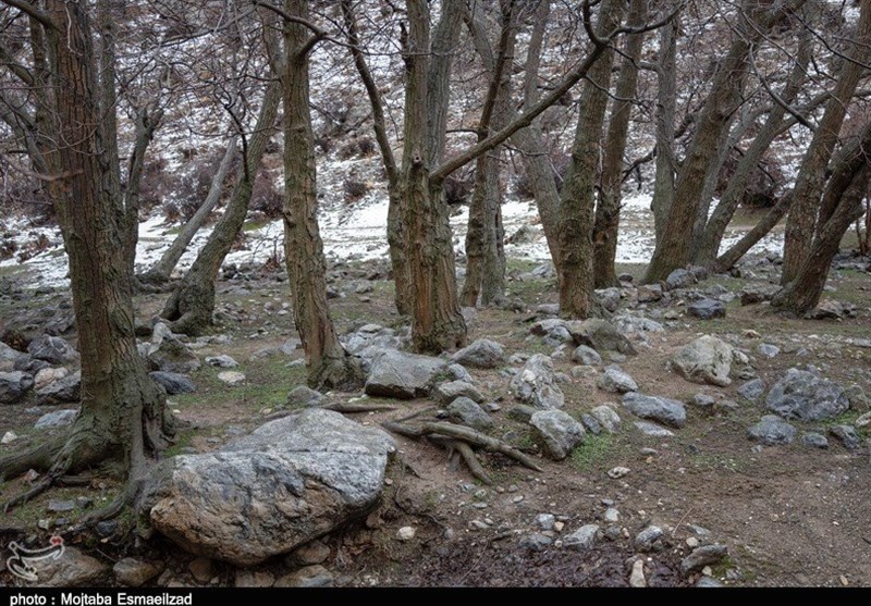 جلوه‌هایی از طبیعت زمستانی دره شهدای ارومیه به روایت تصویر