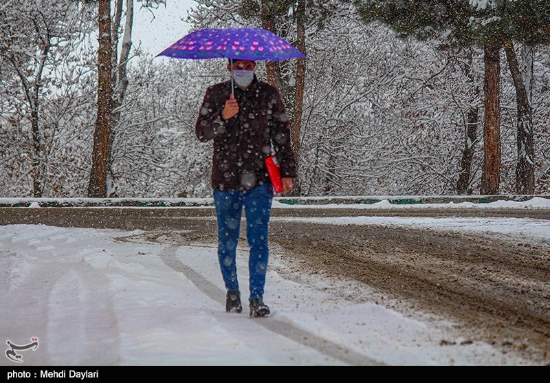 هواشناسی ایران 99/11/27|آغاز بارش برف و باران در 11 استان از فردا/ هشدار وزش باد شدید و کاهش دما