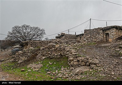 یک روز بارانی در روستای کتک بزرگ