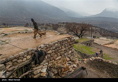 با حرکت دادن غلتک روی سقف و سفت کردن خاک مانع نفوذ آب به خانه هایشان می شوند ‏