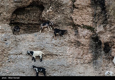 یک روز بارانی در روستای کتک بزرگ