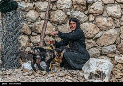 یک روز بارانی در روستای کتک بزرگ