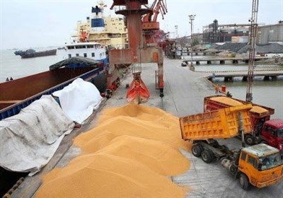 نهاده،واردات،دامي،دامداران،جو،معروفي،عرضه،قيمت،دولت،دست