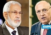 سفر یک هیئت بلندپایه مصری پس از 6 سال به لیبی/ تاکید قاهره بر گسترش همکاری با طرابلس