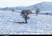 خوش‌نشینی «برف و آفتاب» در طبیعت بجنورد به روایت تصاویر